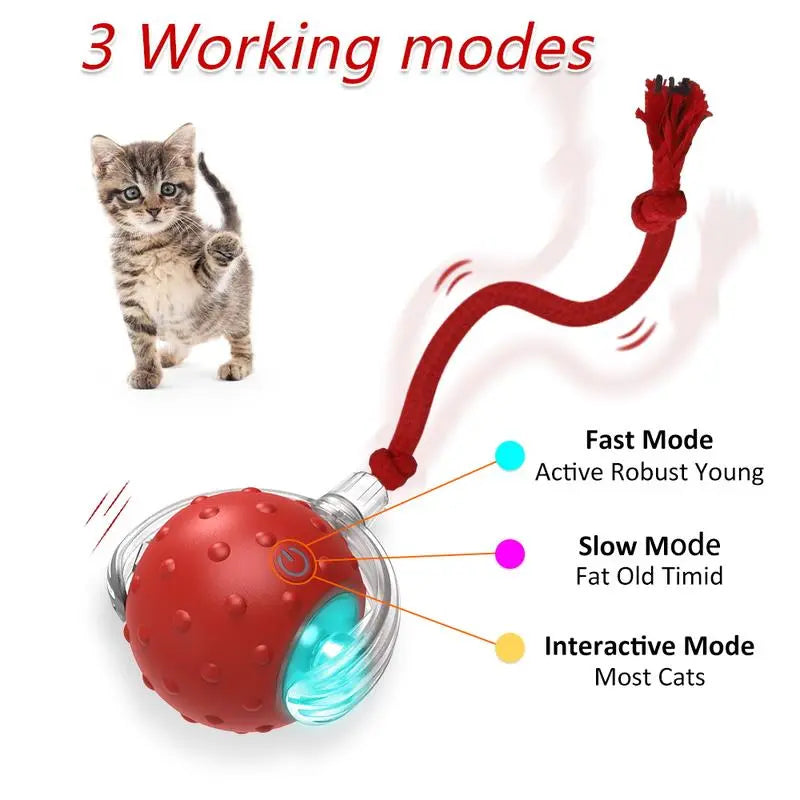 Engaging Interactive Automatic Cat Toy Ball - Fast Rolling & Chirping for Indoor Fun!