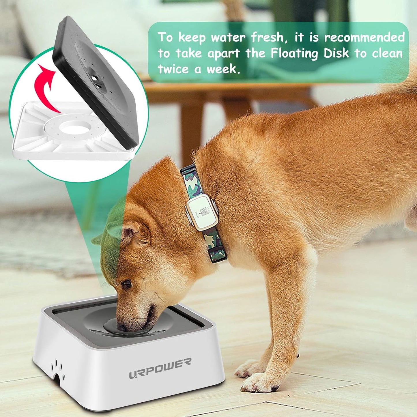 Ultimate 2.5L No-Spill Dog Water Bowl - 85Oz Large Capacity Pet Water Dispenser for Mess-Free Hydration on the Go!