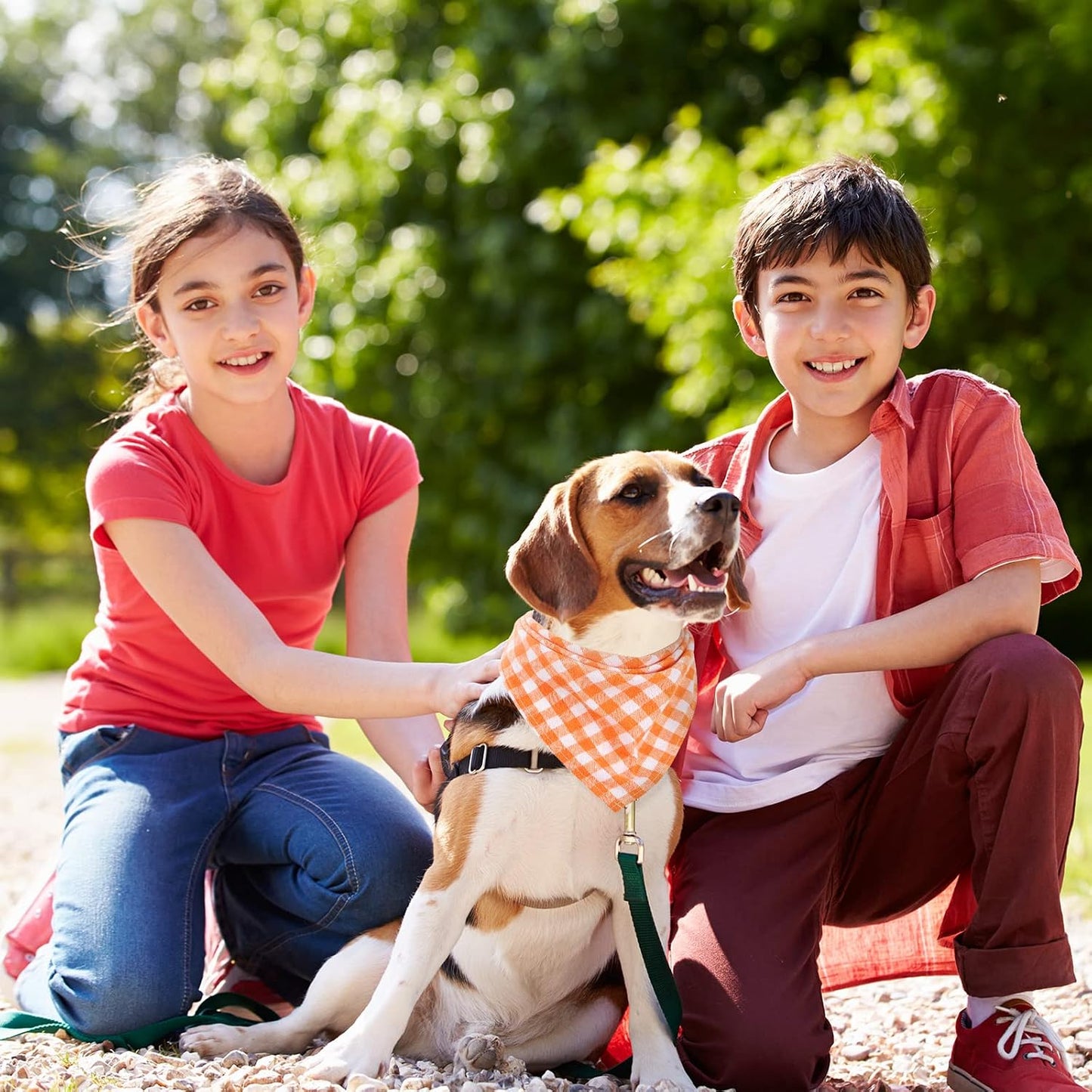 Festive 12-Piece Dog Bandana Set - Stylish Plaid Pet Scarves for Christmas and Thanksgiving - Adjustable & Washable for Medium Dogs and Cats