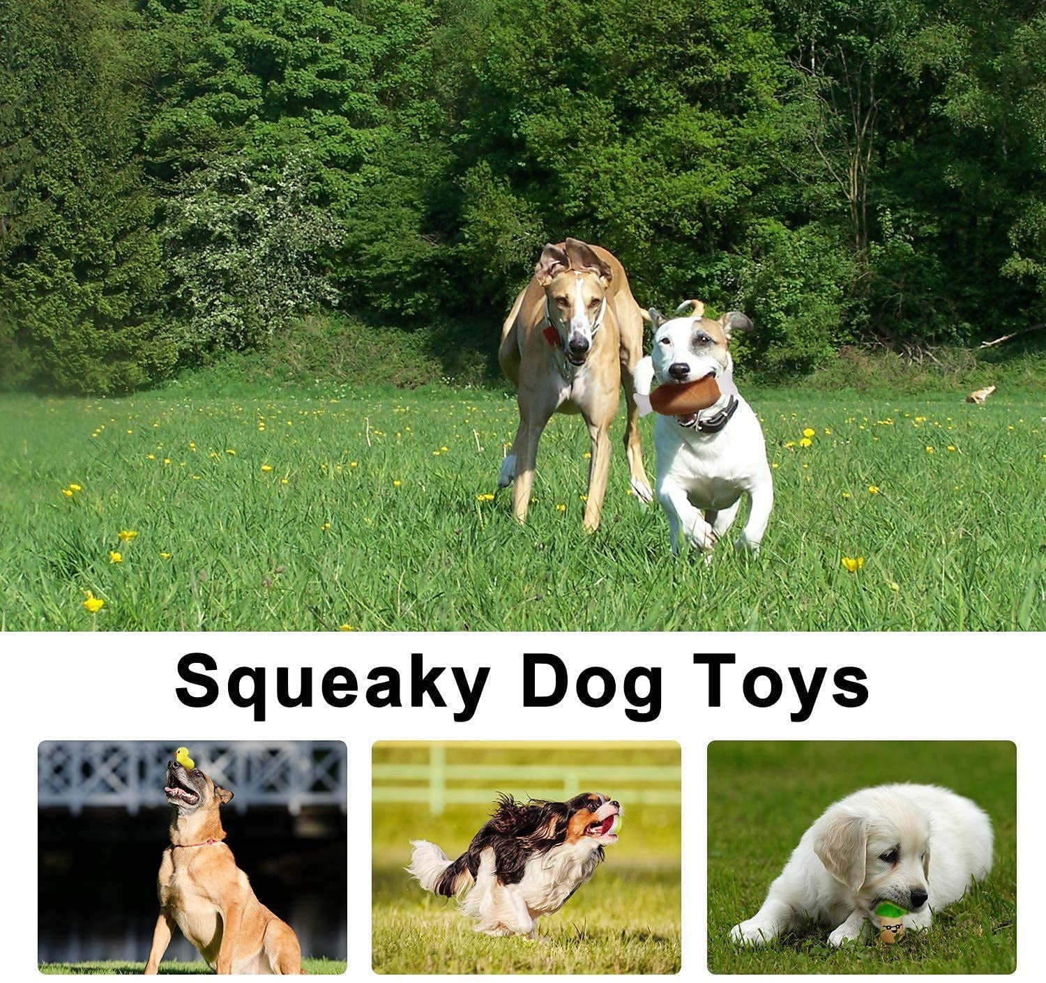 14 Adorable Squeaky Plush Dog Toys for Small & Medium Puppies - Perfect Birthday Gift!